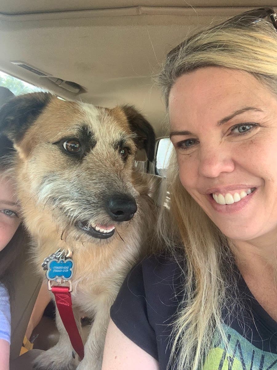 Athens Animal Hospital photo 3