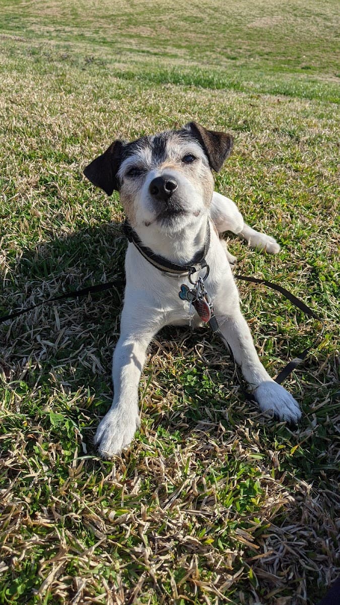 Athens Animal Hospital photo 4