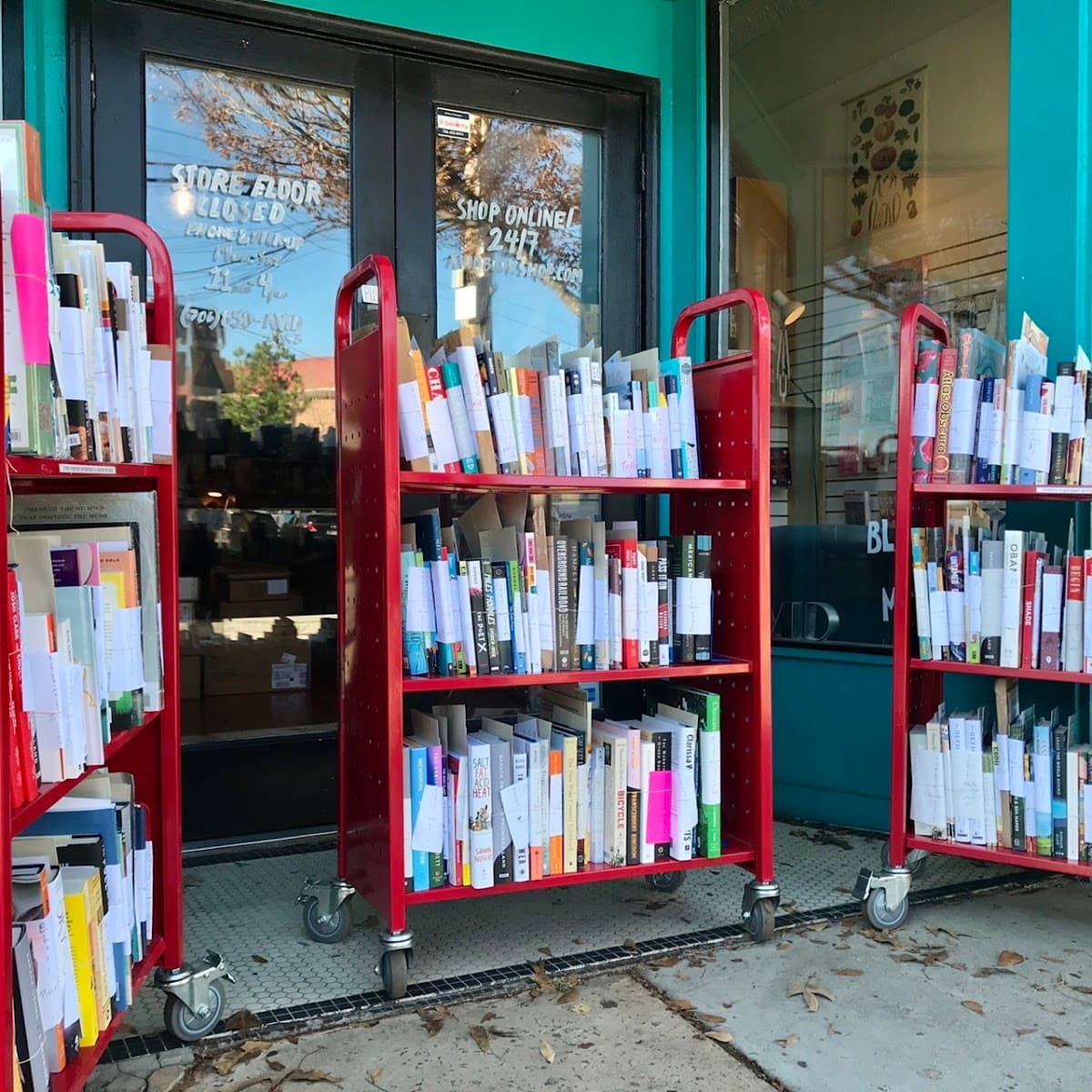 Avid Bookshop photo 4