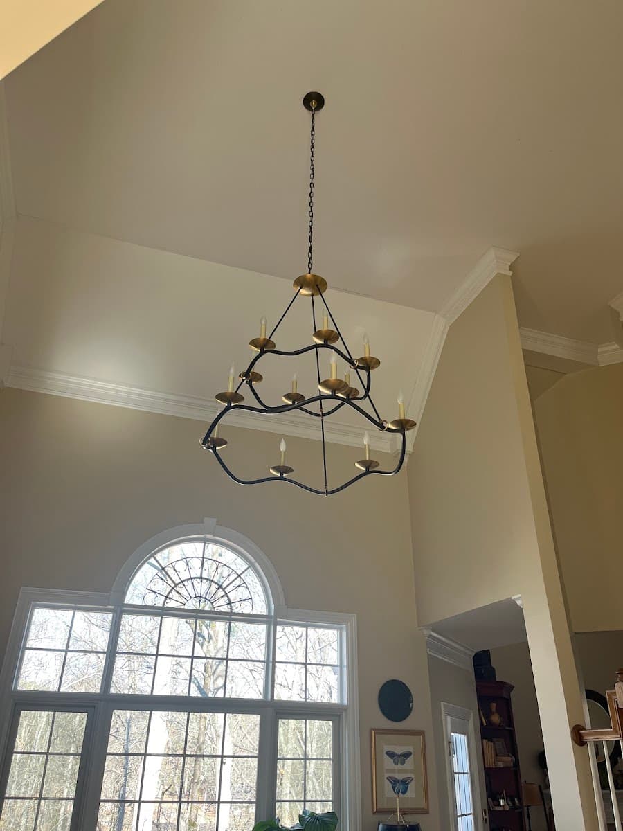 Blue Moon Electric photo 2