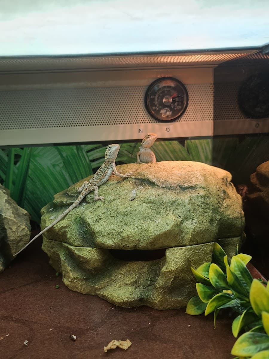 Epps Bridge Centre photo 4