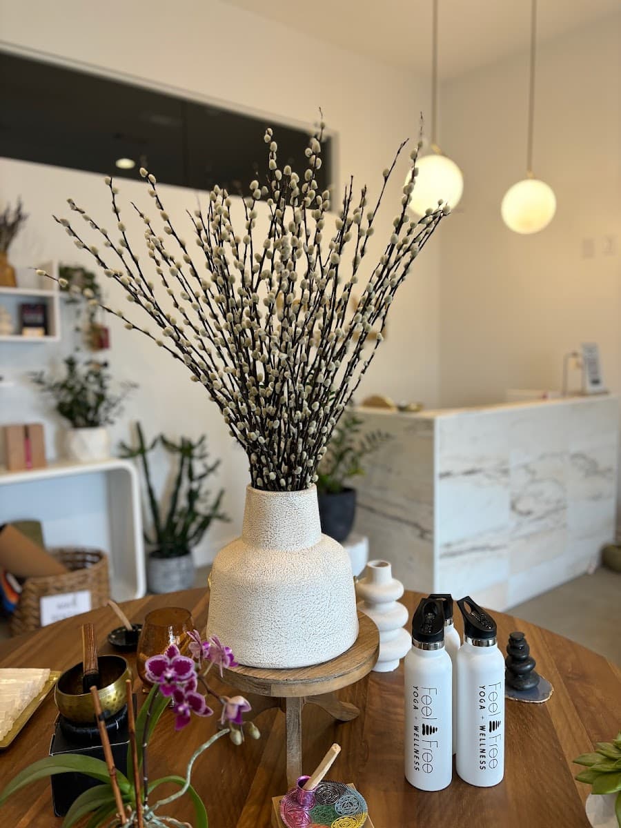 Feel Free Yoga and Wellness Studio LLC photo 2