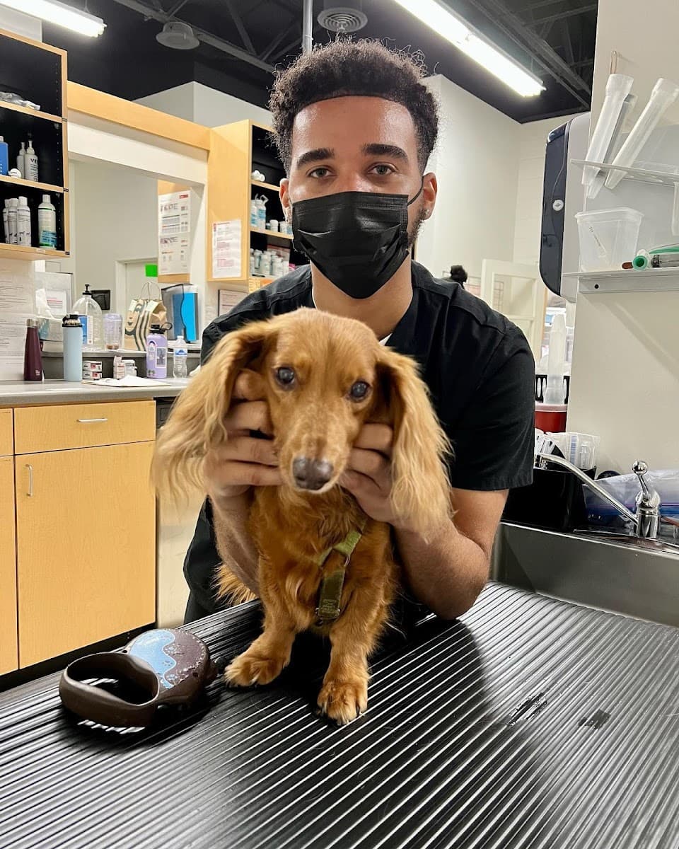 Firehall 4 Animal Hospital photo 3