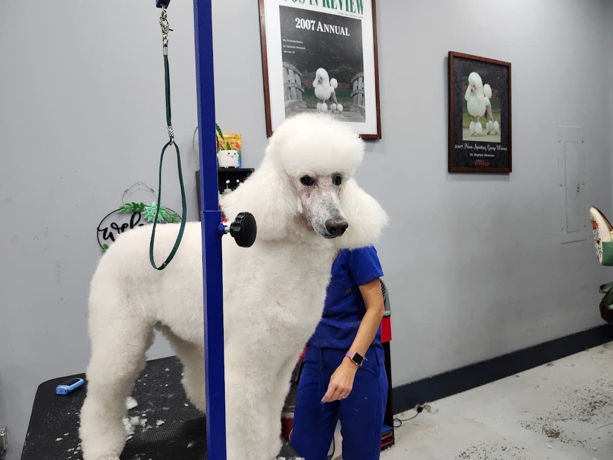 Gameday Grooming in Eastside Athens, Athens, GA