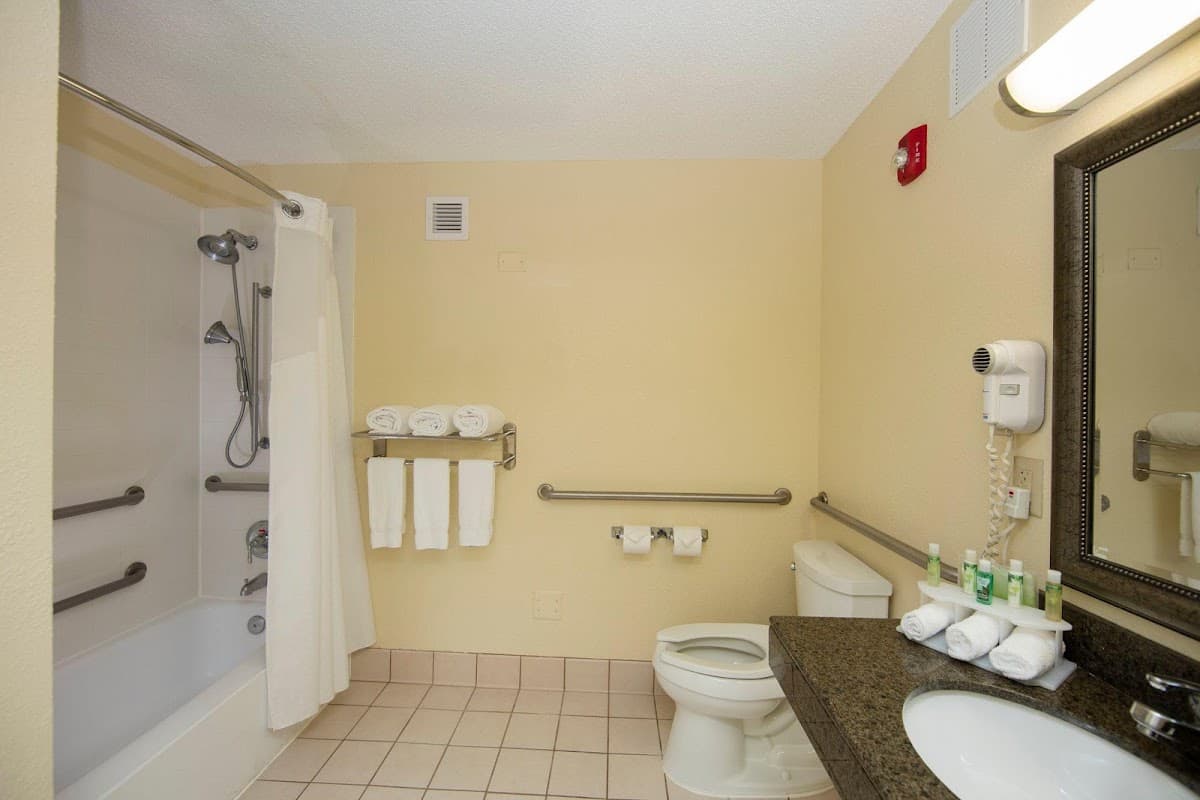 Holiday Inn Express Athens-University Area by IHG photo 4