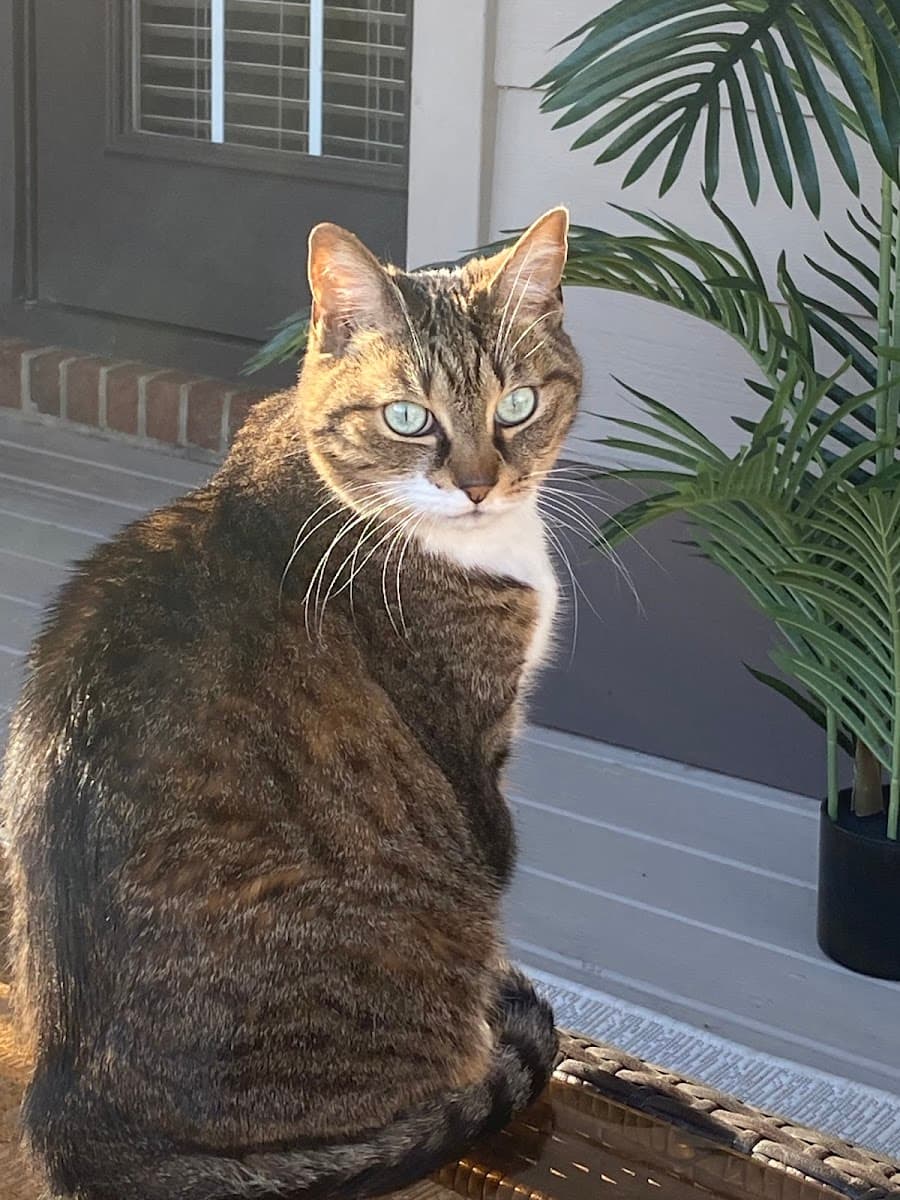 Mars Hill Animal Hospital photo 2