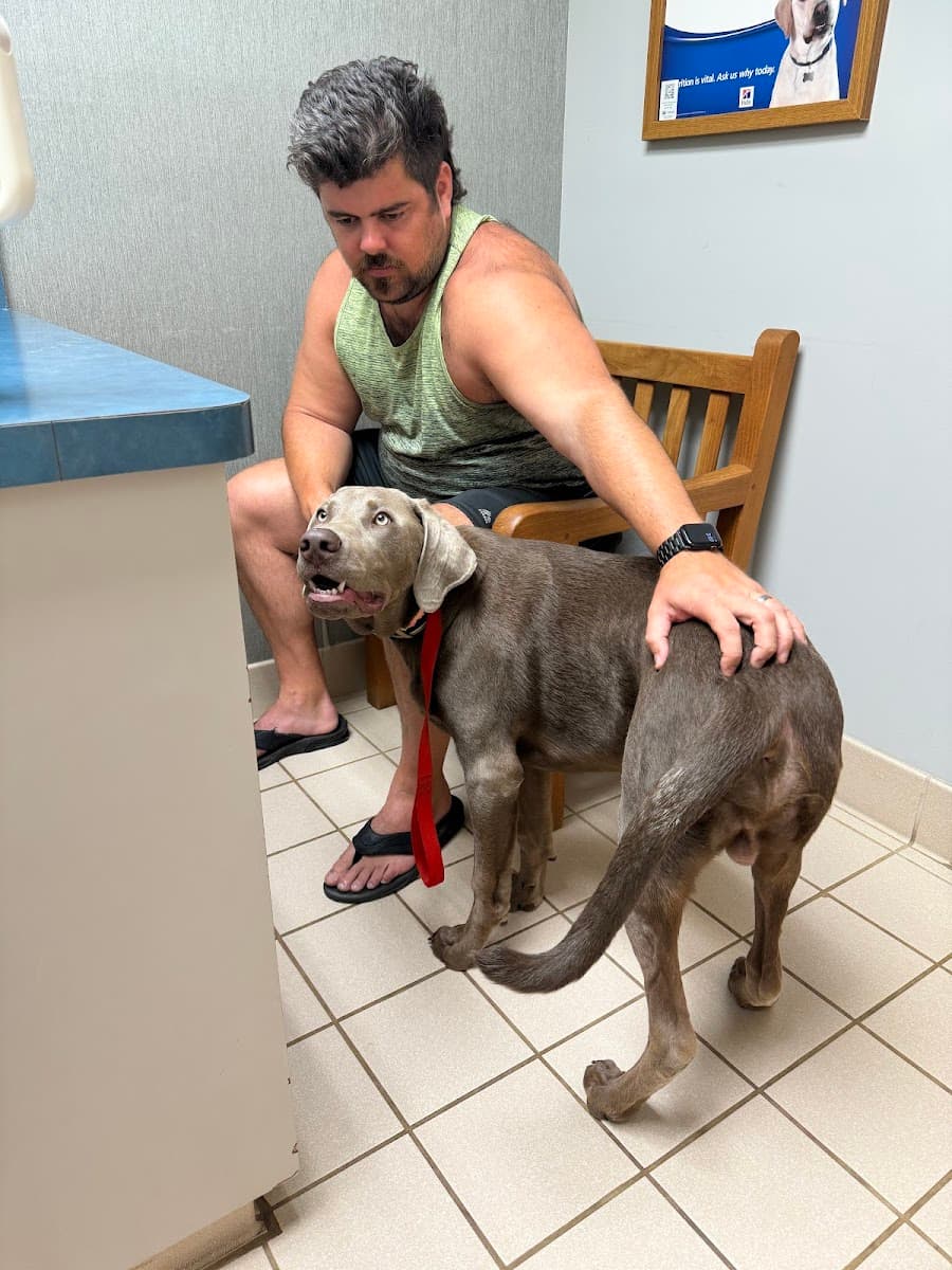 Mars Hill Animal Hospital photo 5