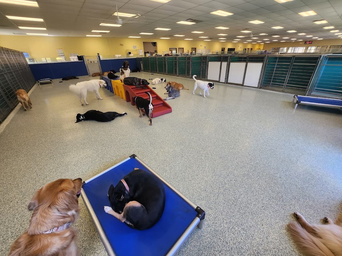 Pawtropolis East Athens photo 3