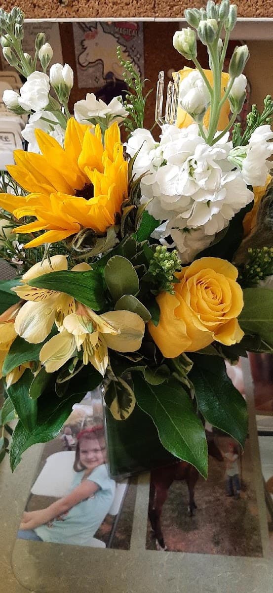 Petals On Prince - Retail in Athens, GA