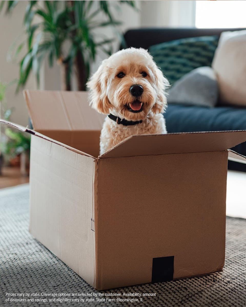 Peyton S Pettus - State Farm Insurance Agent in Downtown Athens, Athens, GA