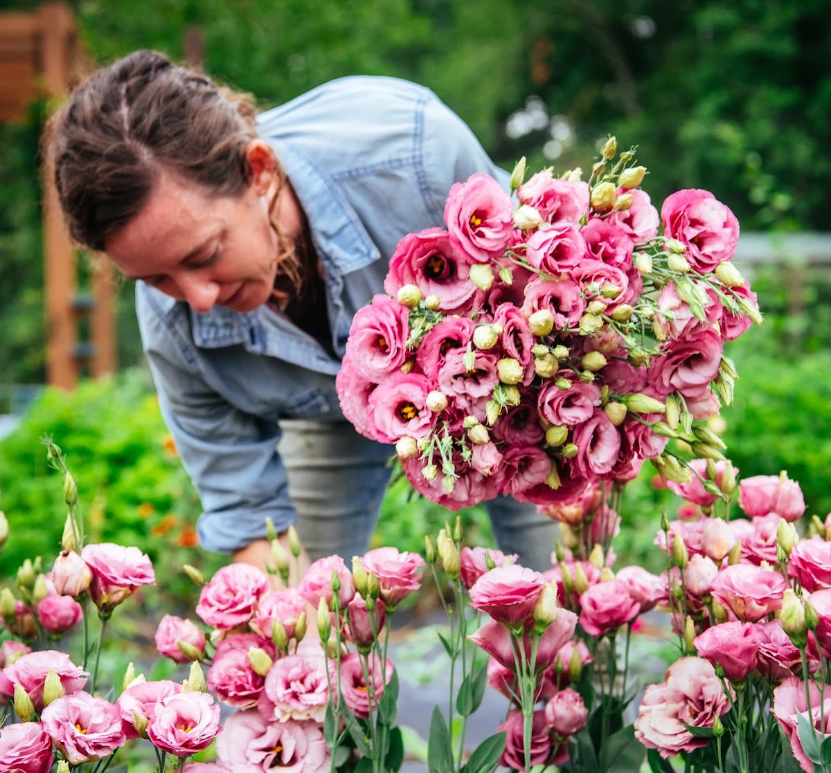 R&R Secret Flowers photo 3