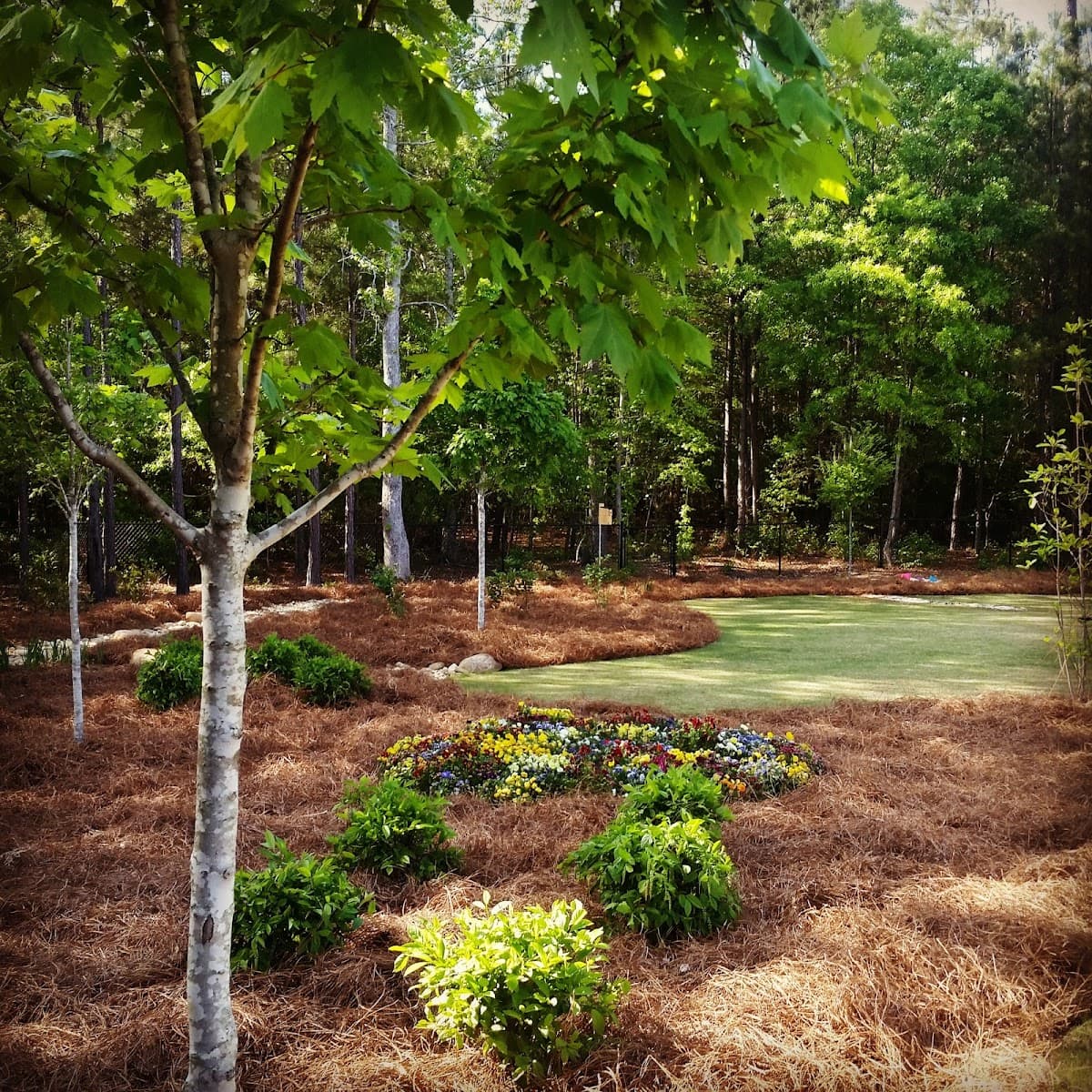 Restoration Lawn Care photo 4