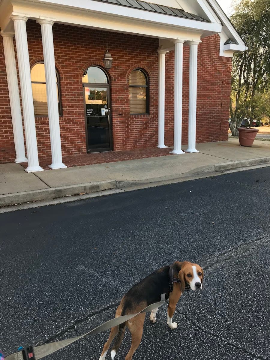 South Athens Animal Clinic in Eastside Athens, Athens, GA