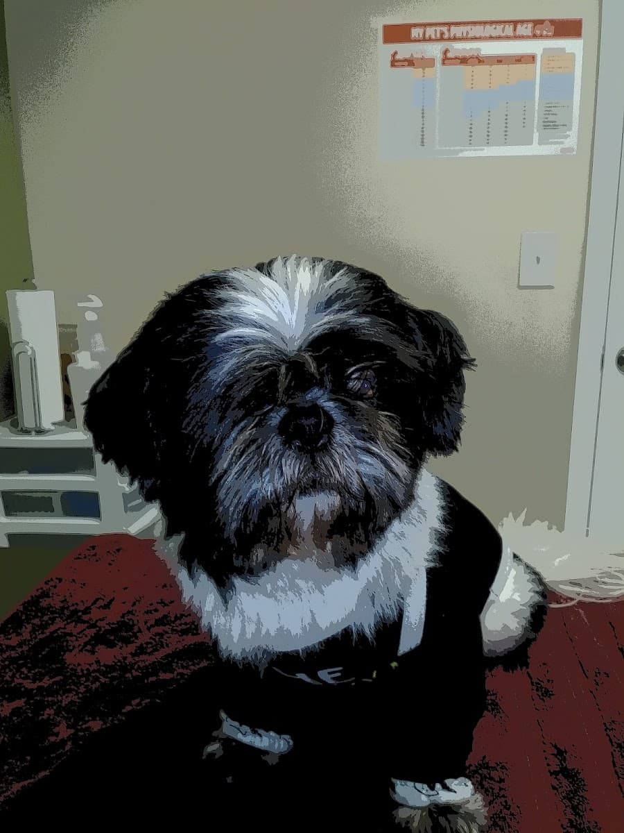 Sycamore Veterinary Services photo 3