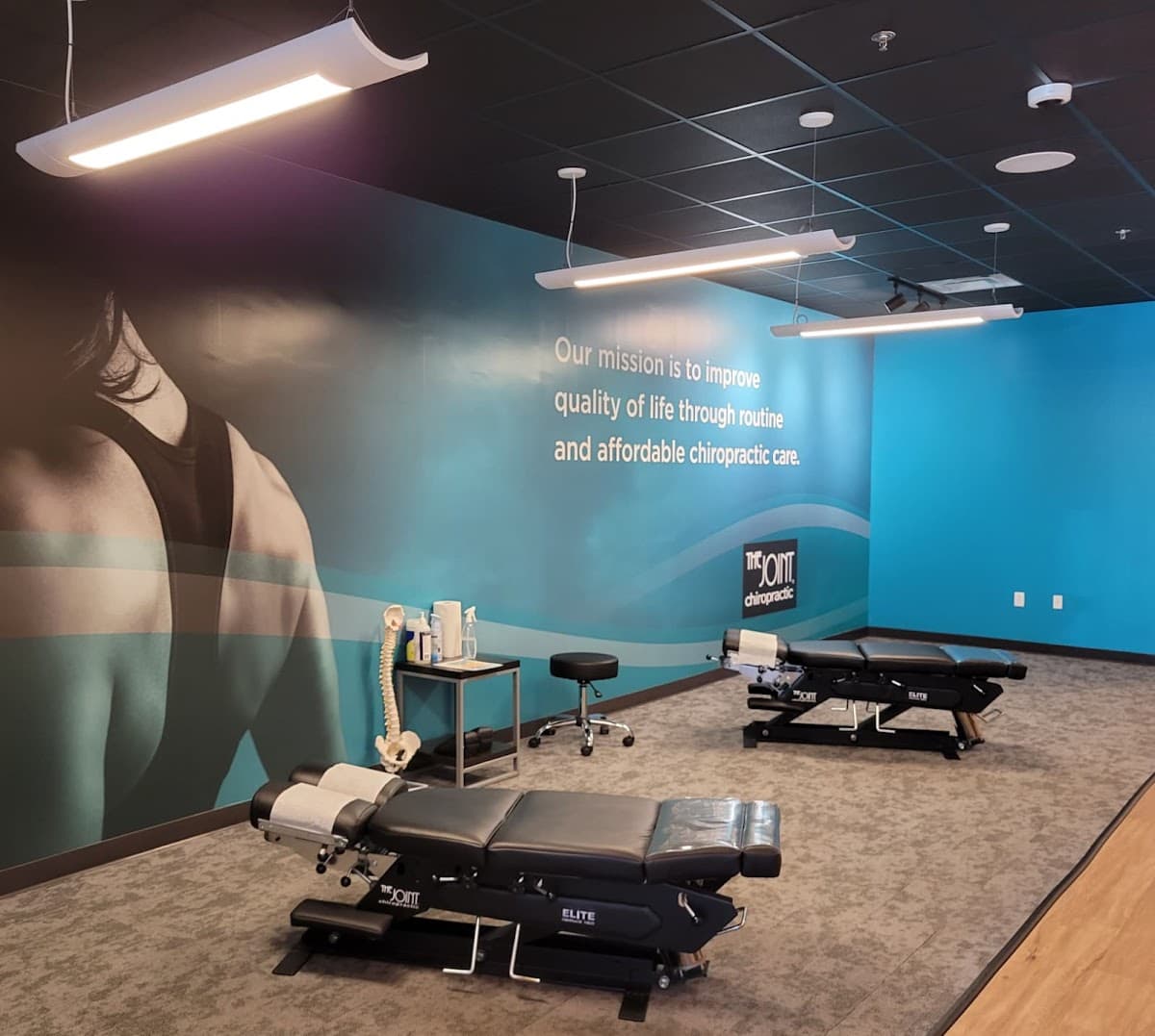 The Joint Chiropractic