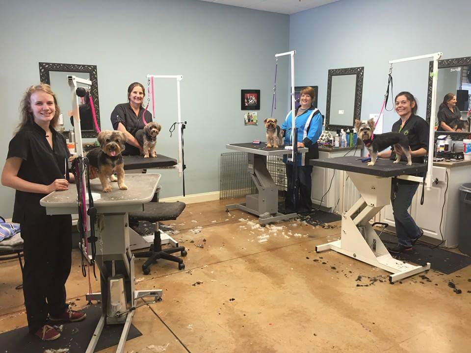 Bark Dog Spa & Boutique - Services in Athens, GA