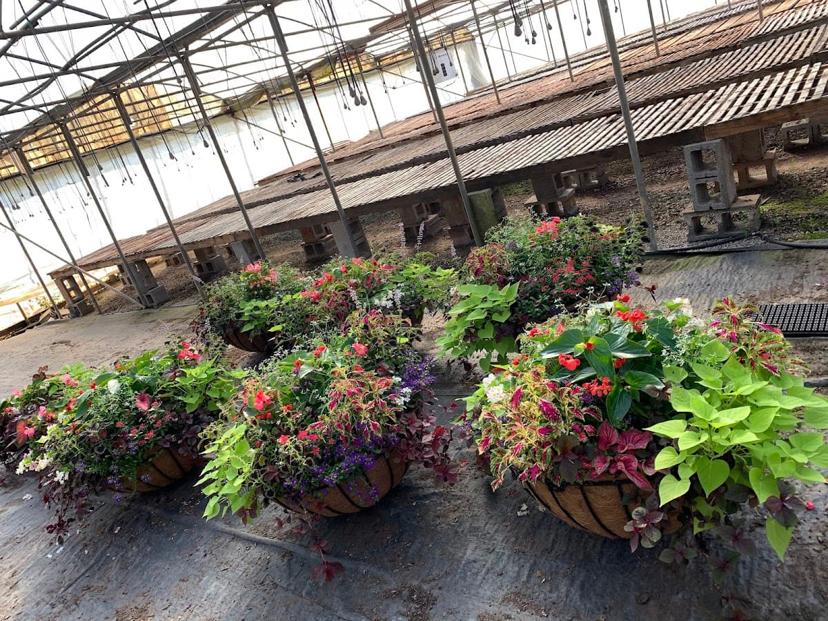 Classic City Flowers and Nursery photo 3