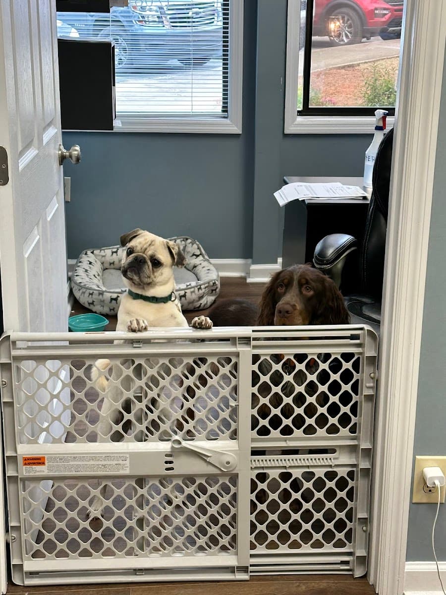 Dr. William Morang, D.M.D. photo 5