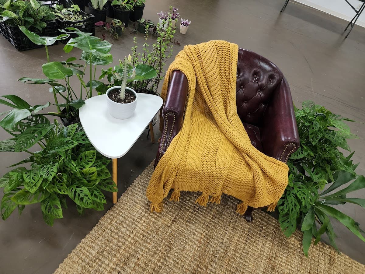 Foxglove PlantBar photo 4