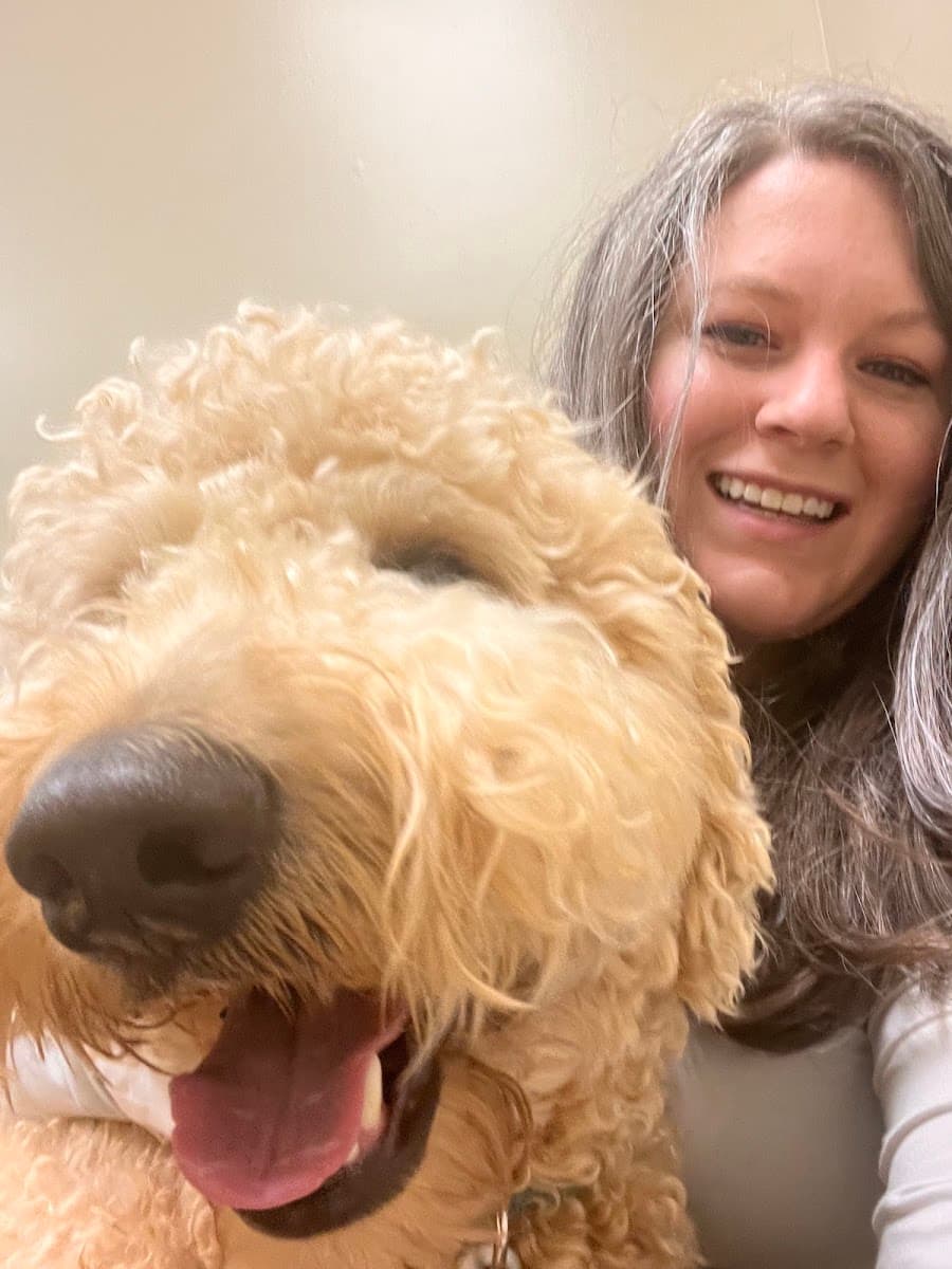 Good Hands Veterinary Hospital photo 3