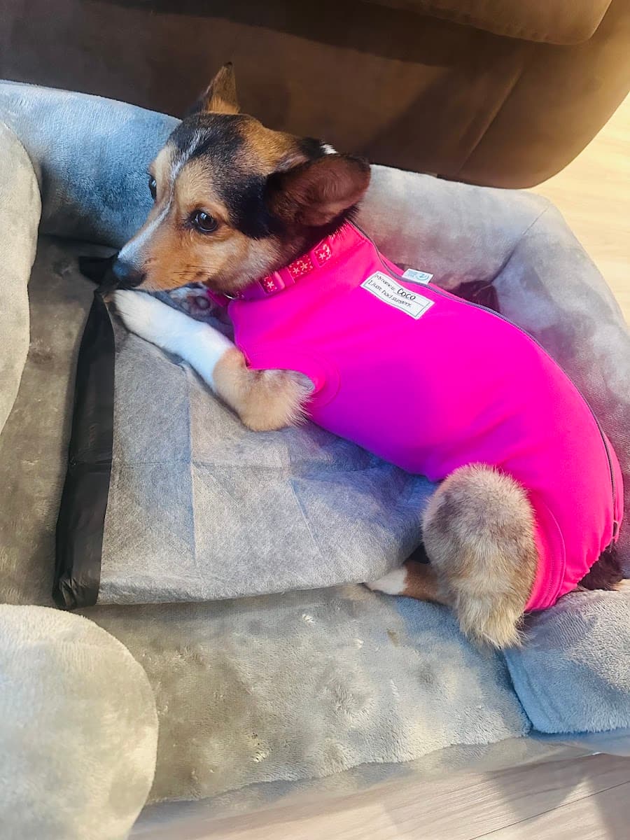 PriorityPet Urgent Care photo 4