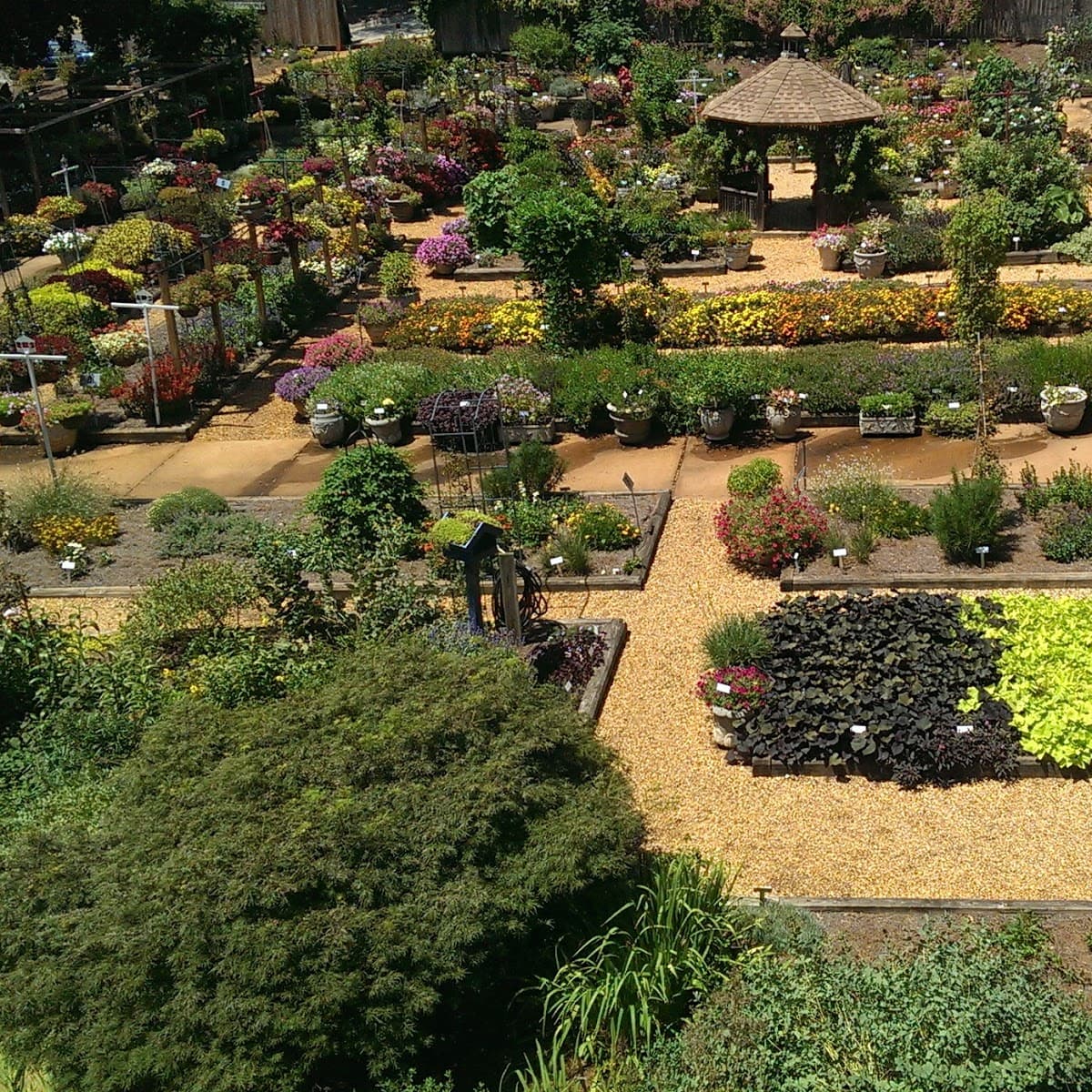 Trial Gardens - Services in Athens, GA