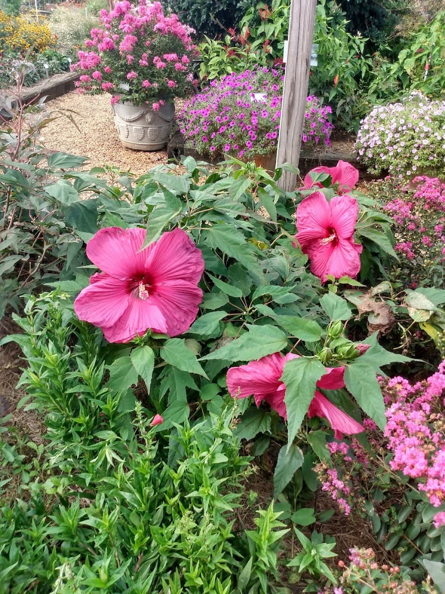 Trial Gardens photo 3