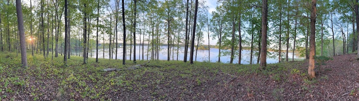 Woodall Realty Group photo 2