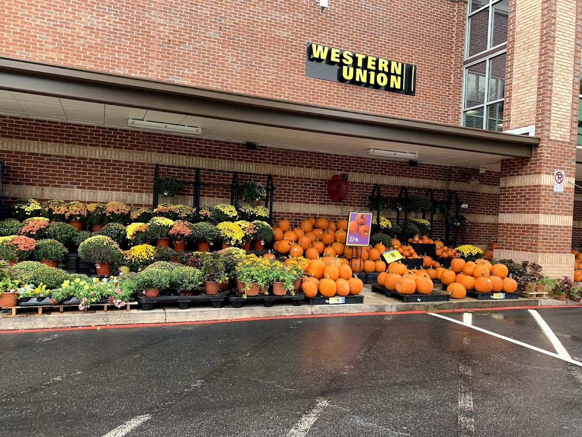 Alps Village - Retail & Shopping in Athens, GA