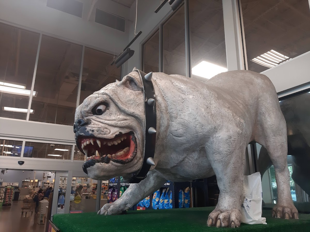 Alps Village photo 3