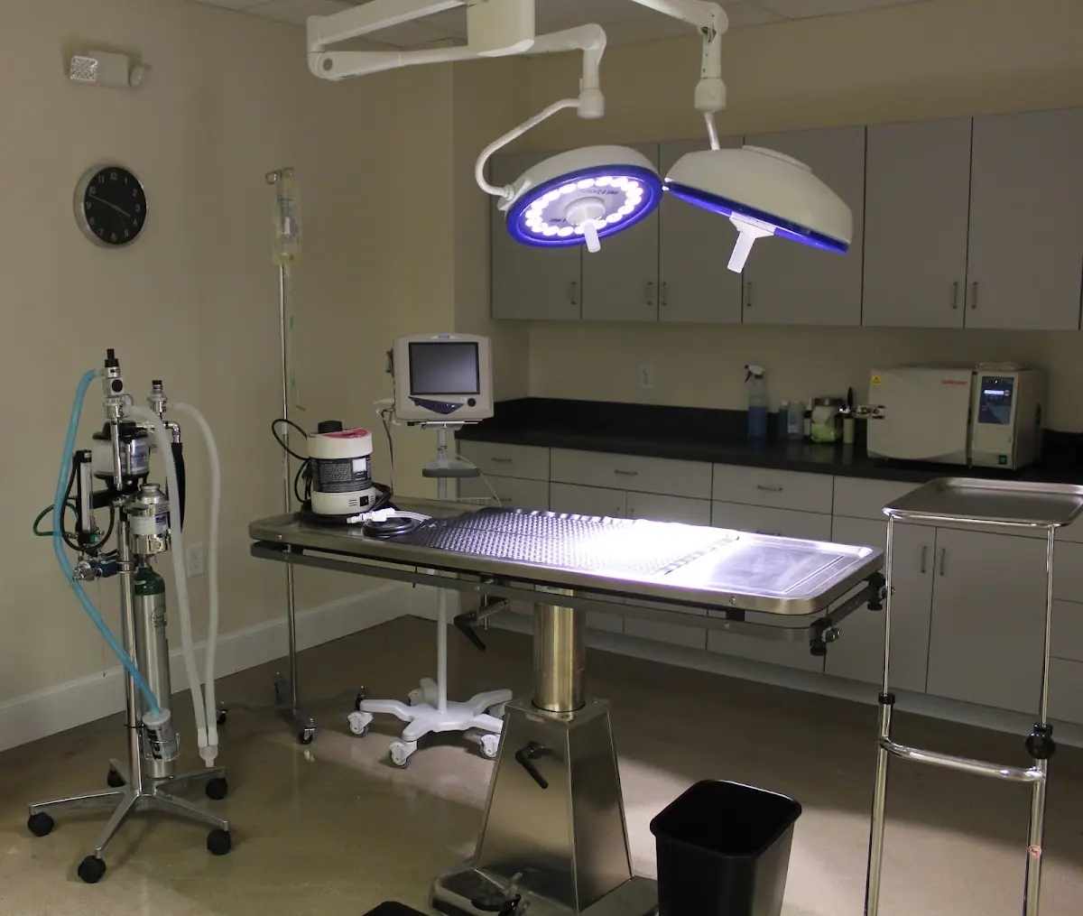 Animal Wellness Center of Athens photo 5