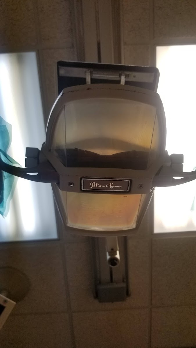 Athena Dental Associates photo 4