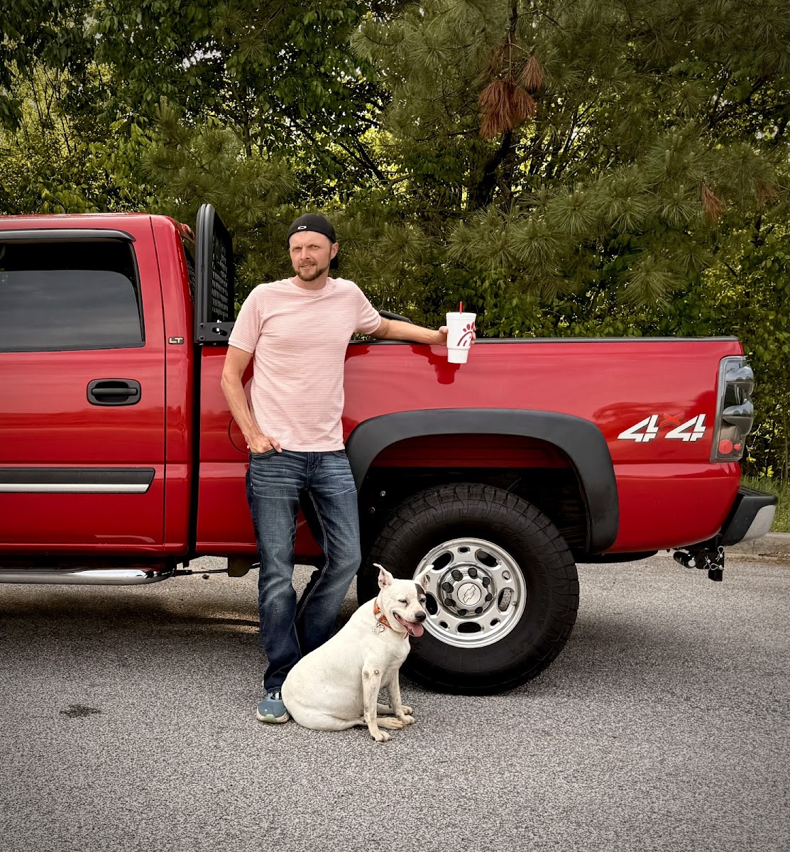 Athens Animal Medical Clinic photo 4