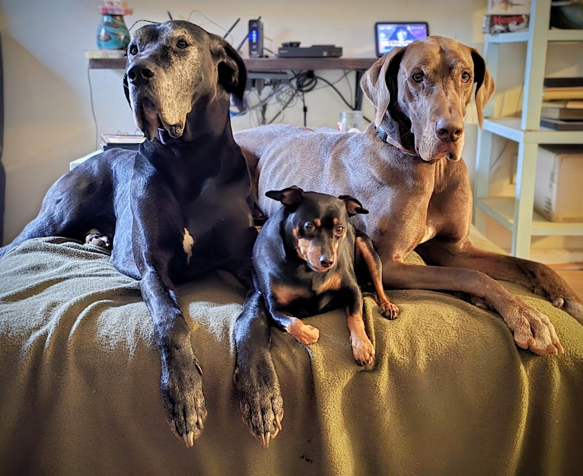 Athens Animal Medical Clinic photo 5