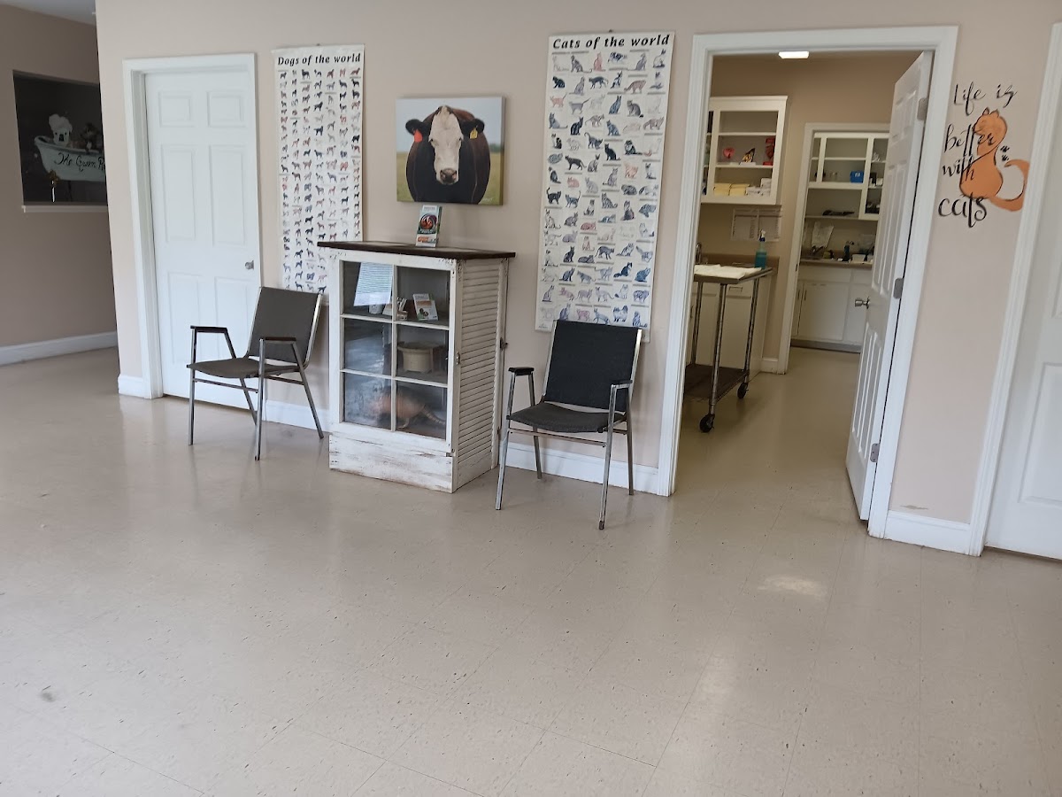 Athens Regional Veterinary Services - Veterinary in Athens, GA