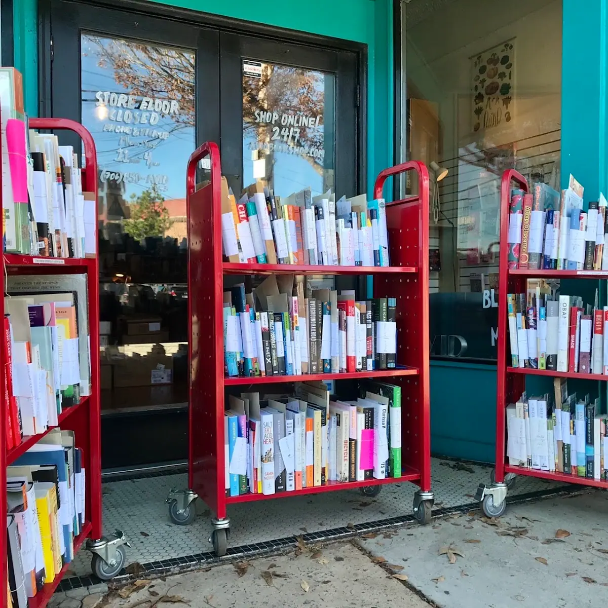 Avid Bookshop photo 4