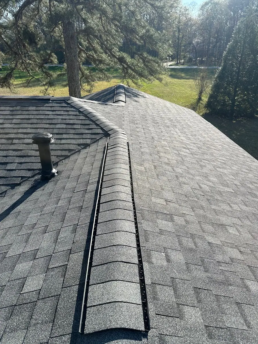 Black Dog Roofing photo 4