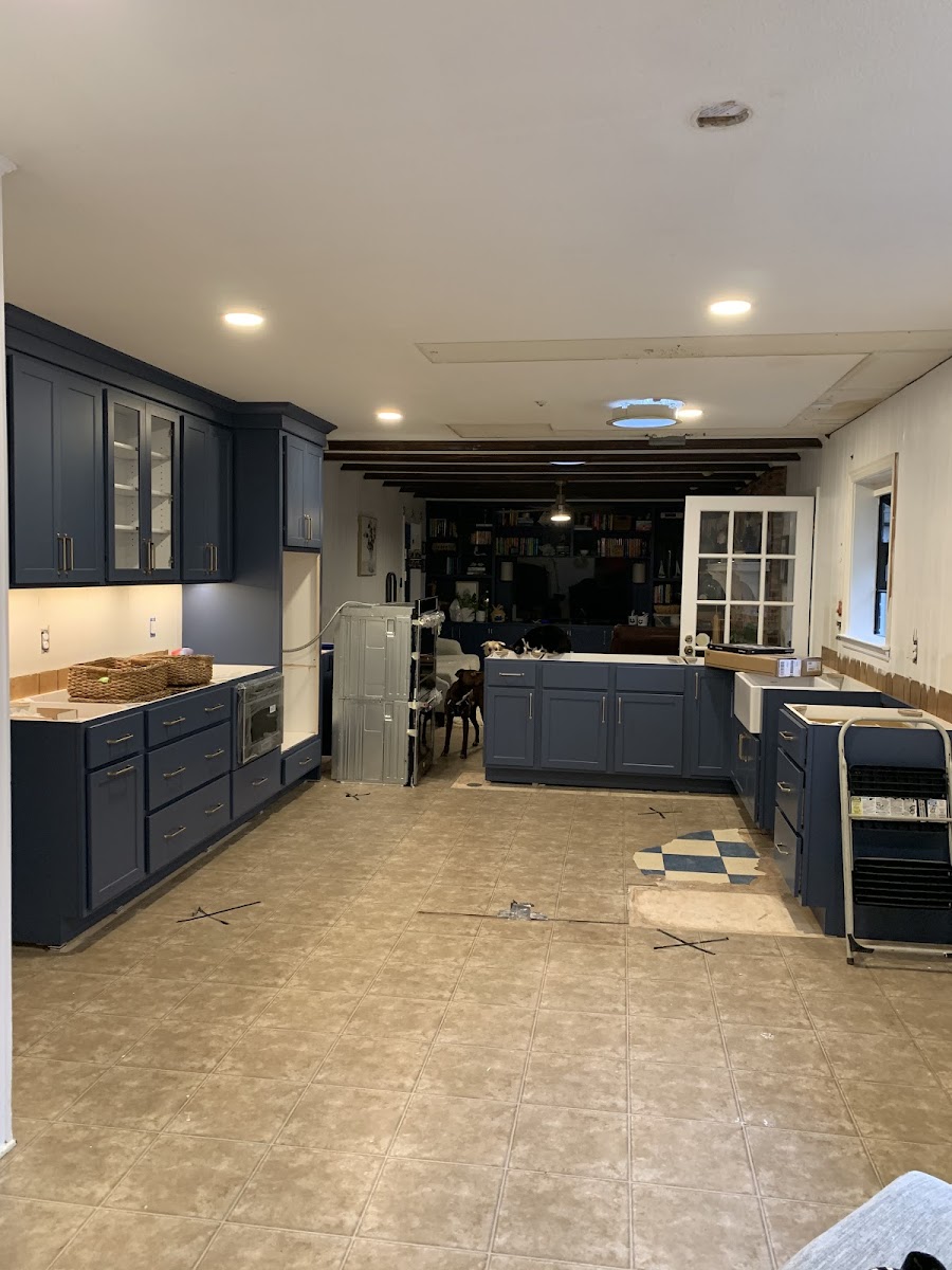 Blue Moon Electric photo 3