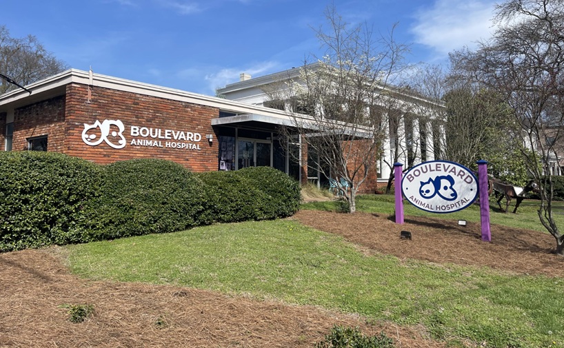 Boulevard Animal Hospital in Downtown Athens, Athens, GA