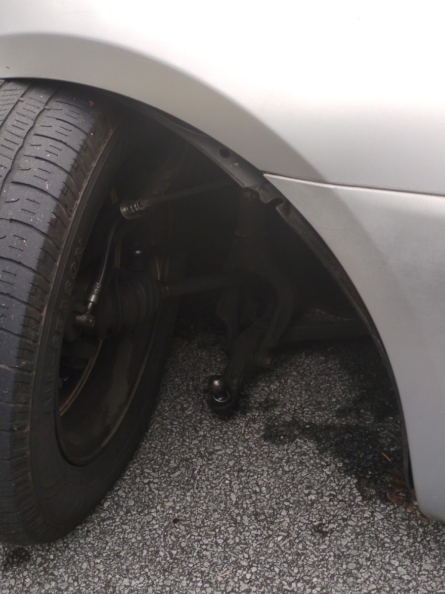 Butlerâ€™s Automotive Inc photo 2