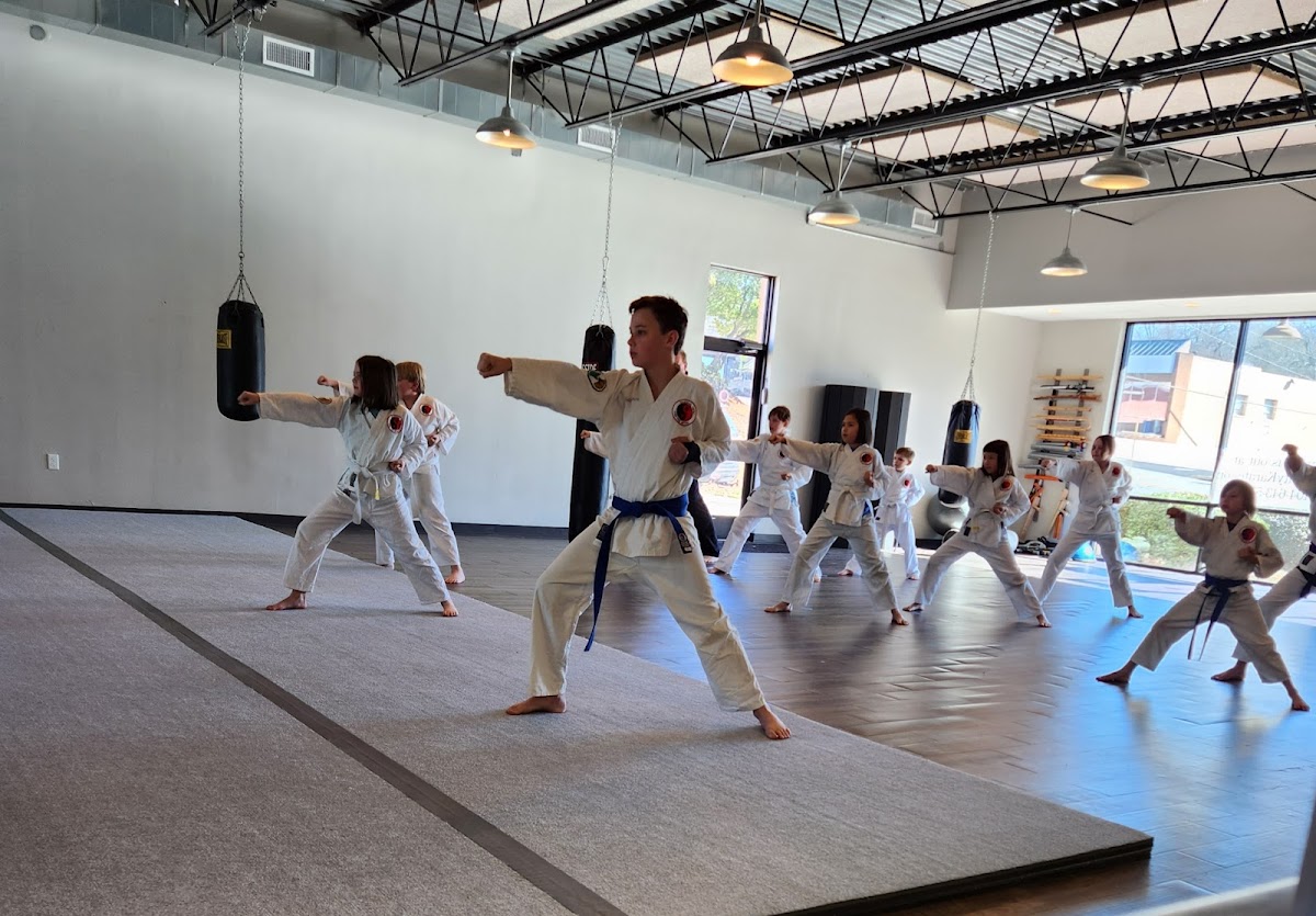 Classic City Karate photo 3