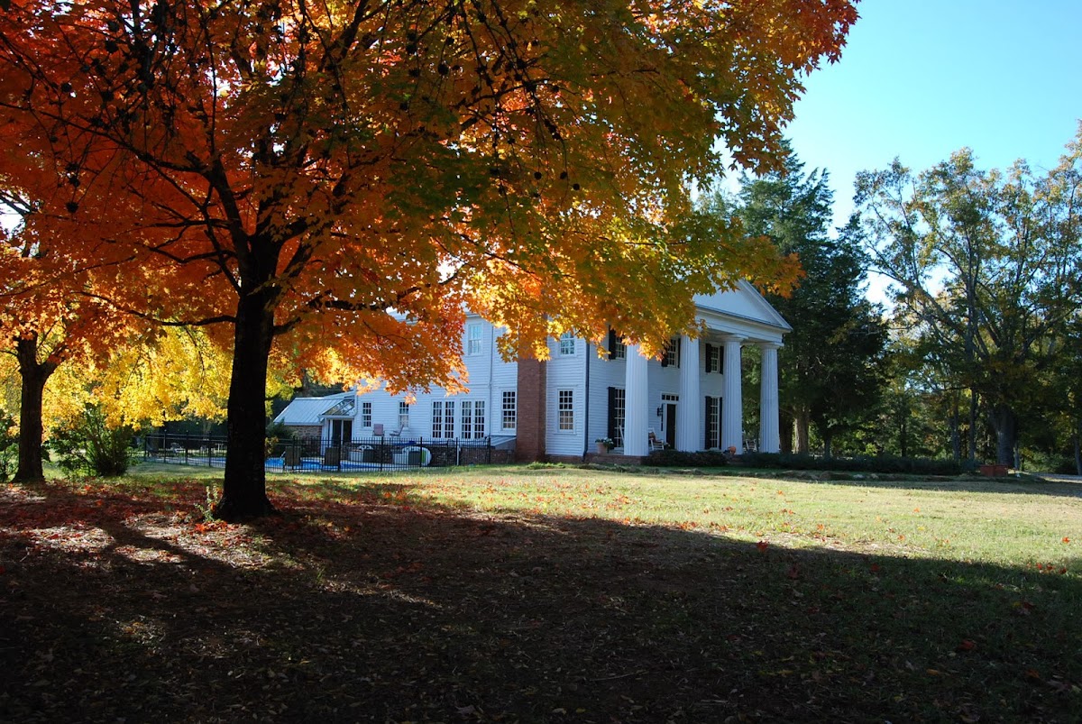 Colonels B & B photo 4