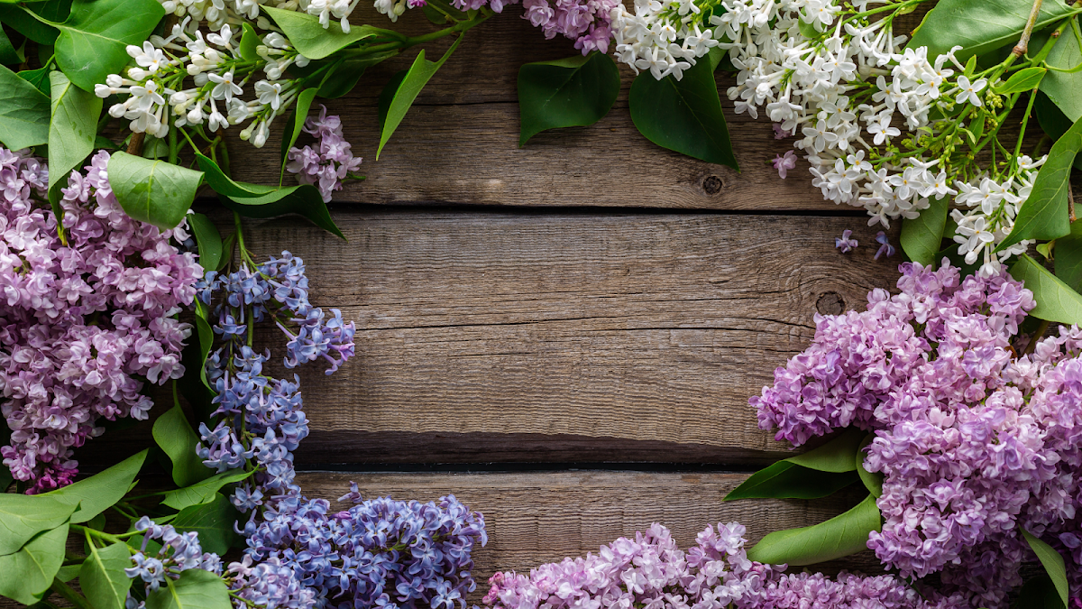 Deborah's Specialty Cakes photo 2