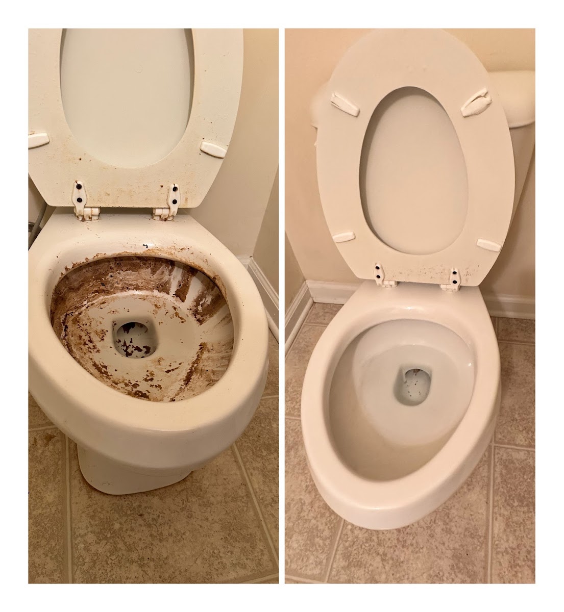 Dogwood Cleaning Company, LLC. photo 2