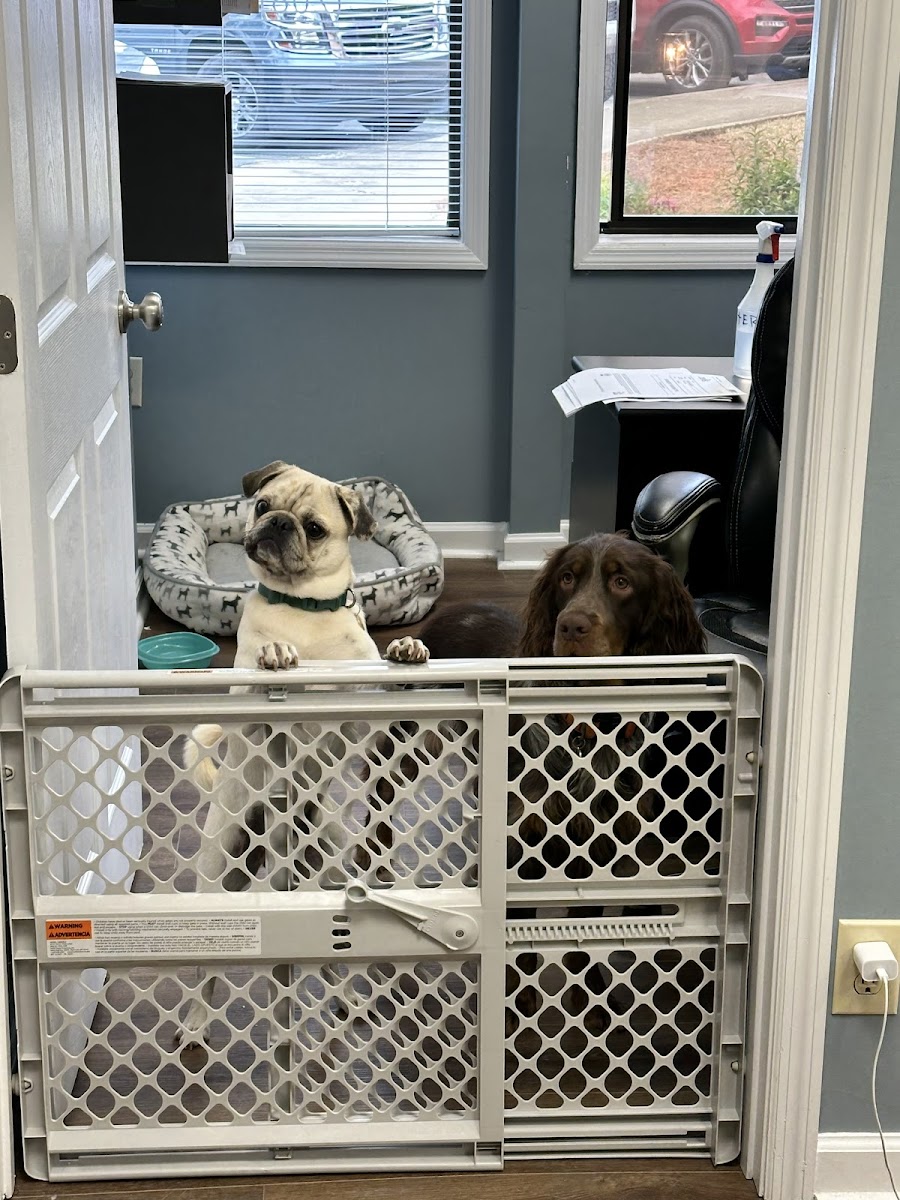 Dr. William Morang, D.M.D. photo 5