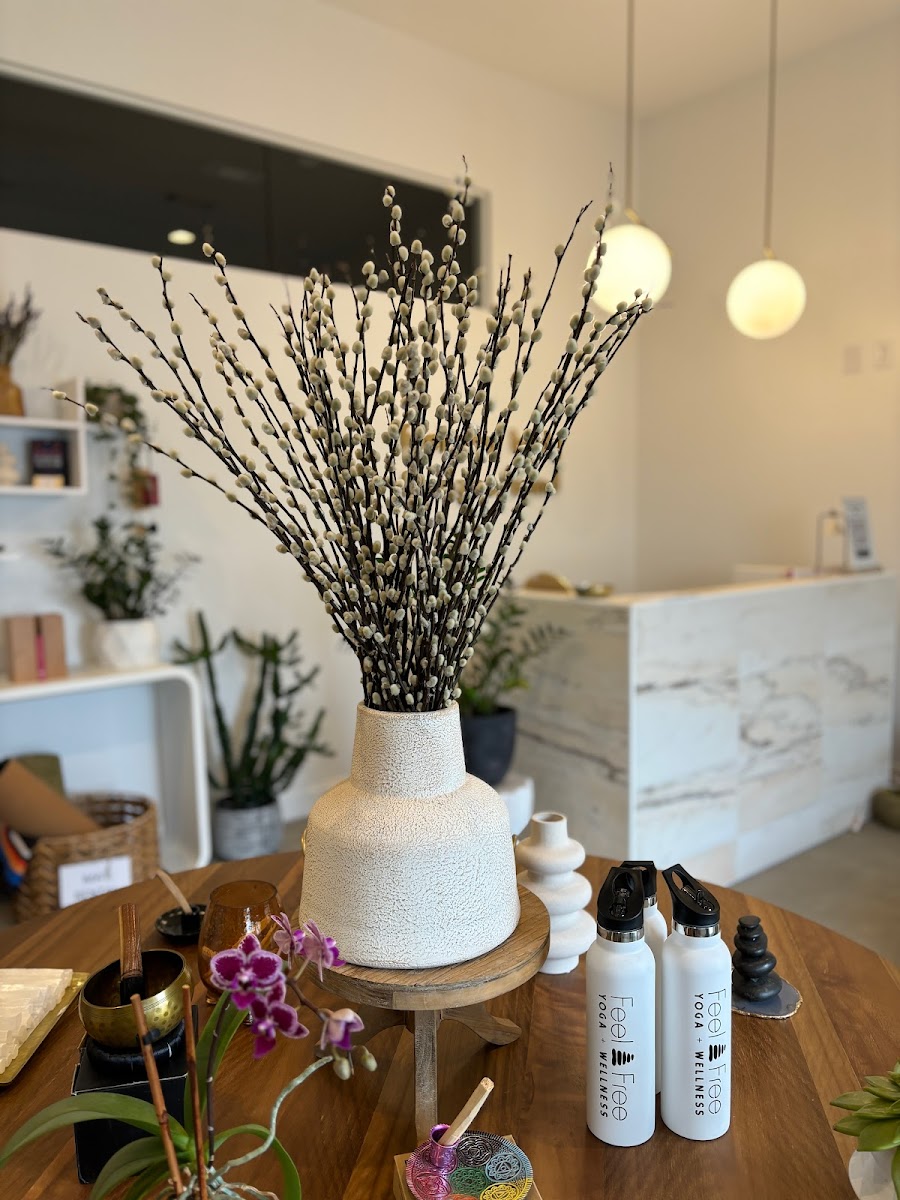 Feel Free Yoga and Wellness Studio LLC photo 2