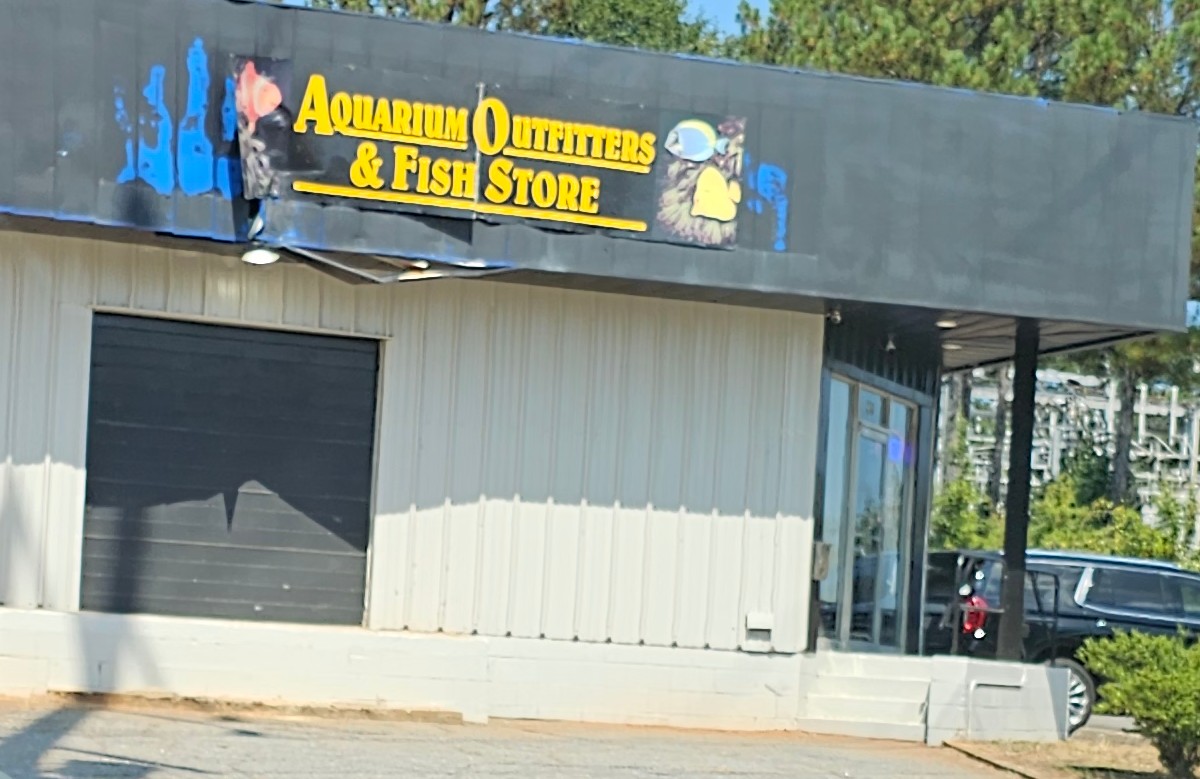 Fish Gallery - Athens - Retail & Shopping in Athens, GA
