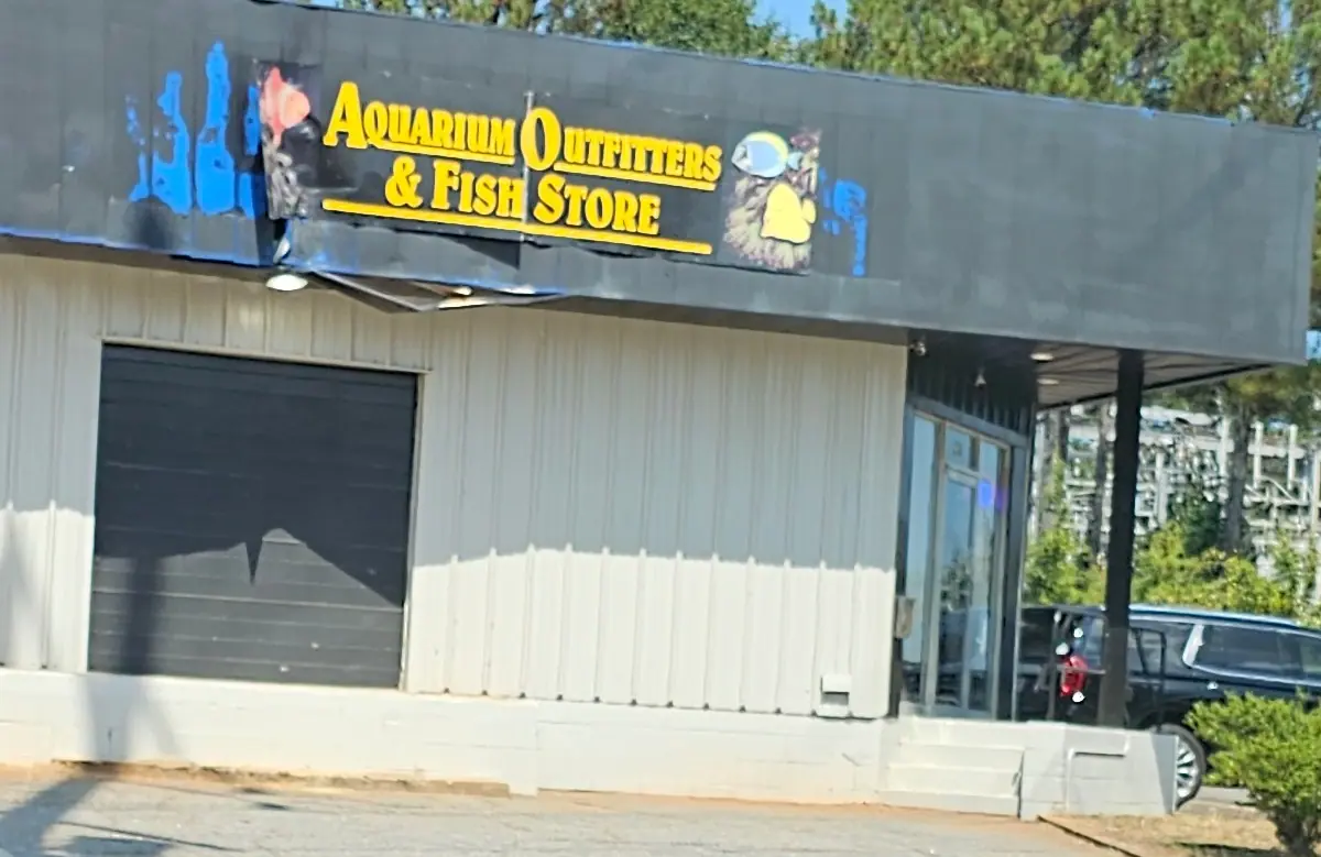 Fish Gallery - Athens - Retail & Shopping in Athens, GA