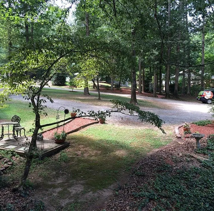 Four Seasons Pet Resort photo 4