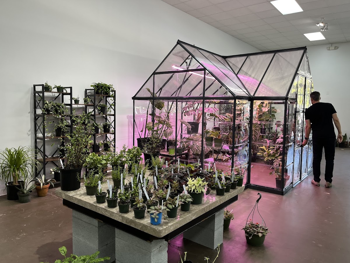 Foxglove PlantBar photo 5